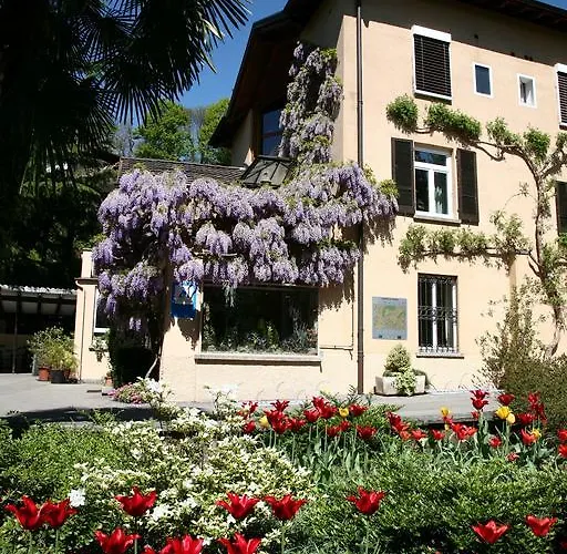 Savosa Youth * Lugano