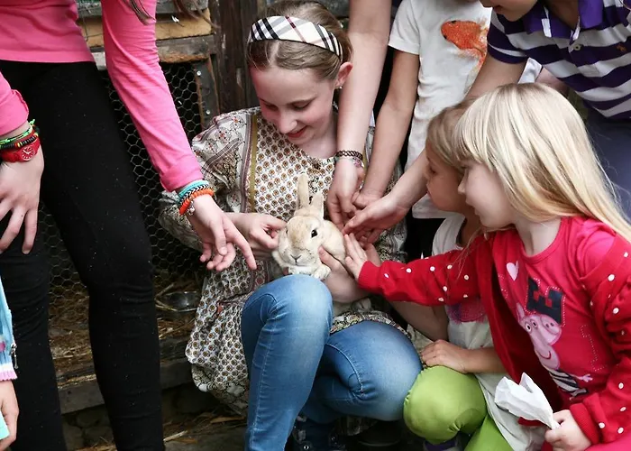 Vandrarhem Savosa Youth