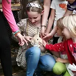旅馆 卢加诺萨沃萨青年旅舍