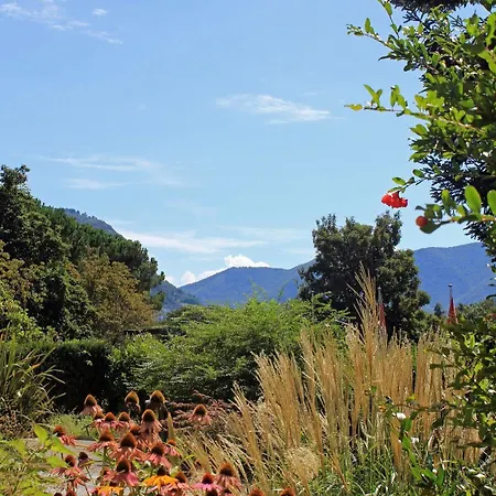 卢加诺萨沃萨青年旅舍 *