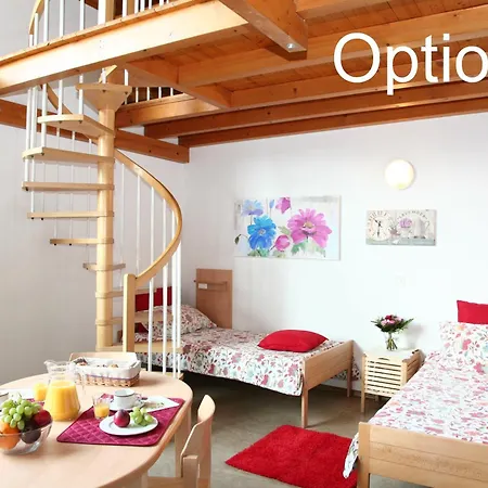 旅馆 卢加诺萨沃萨青年旅舍 *